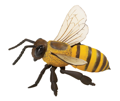 Bee Honey Pictures